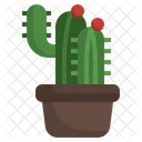 Cactus Plant Dessert Icon