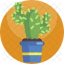 Nature Cactus Cavcti Icon