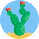 Cactus Cacti Flower Icon