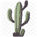 Cactus Desert Tropical Icon