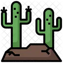 Cactus Cattie Desert Plant Icon