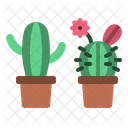 Cactus  アイコン