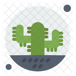 Cactus  Icon