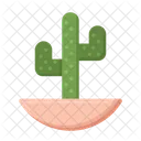 Cactus Cactus Plant Cacti Icon