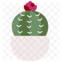 Cactus Nature Botanical Icon