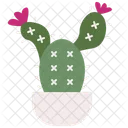 Cactus Nature Farming Icon