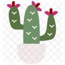 Cactus Nature Gardening Icon