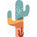 Cactus Cactus Plant Desert Plant Icon