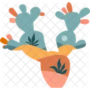 Cactus Cactus Plant Desert Plant Icon