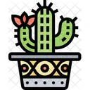 Cactus Cactus Planta Planta Del Desierto Icono