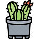 Cactus Succulent Plant Icon