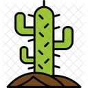 Cactus Plant Cacti Icon