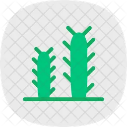 Cactus  Icono