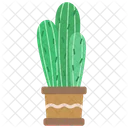 Cactus Desert Plant Icon
