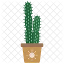 Cactus Desert Plant アイコン