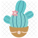 Cactus Desert Plant Icon