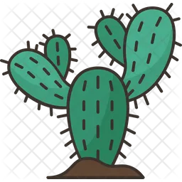 Cactus  Icon