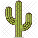 Cactus Naturaleza Ayurveda Icono