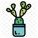 Cactus Botanical Nature Icon