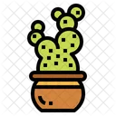 Cactus Botanical Nature Icon