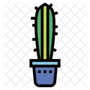 Cactus  Icon