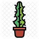 Cactus  Icon