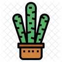 Cactus Botanical Nature Icon