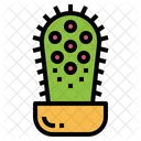 Cactus  Icon