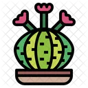 Cactus  Icon