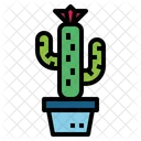 Cactus  Icon