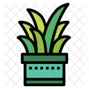 Cactus Botanical Nature Icon