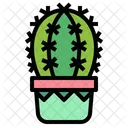 Cactus Botanical Nature Icon