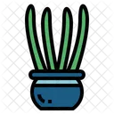 Cactus Botanical Nature Icon