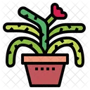 Cactus Botanical Nature Icon