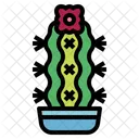 Cactus Botanical Nature Icon