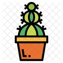 Cactus Botanical Nature Icon