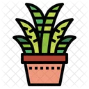 Cactus Botanical Nature Icon