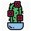 Cactus Botanical Nature Icon