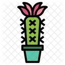 Cactus Botanical Nature Icon