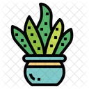 Cactus Botanical Nature Icon