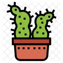 Cactus Botanical Nature Icon