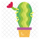 Cactus  Icon