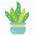 Cactus  Icon