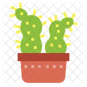 Cactus  Icon