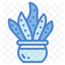 Cactus  Icon