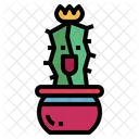 Cactus  Icon