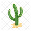 Cactus  Icono