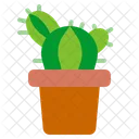 Cactus  アイコン