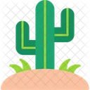 Cactus Cacti Cactus Plant Icon