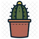 Cactus Cactus Pot Succulent Icon